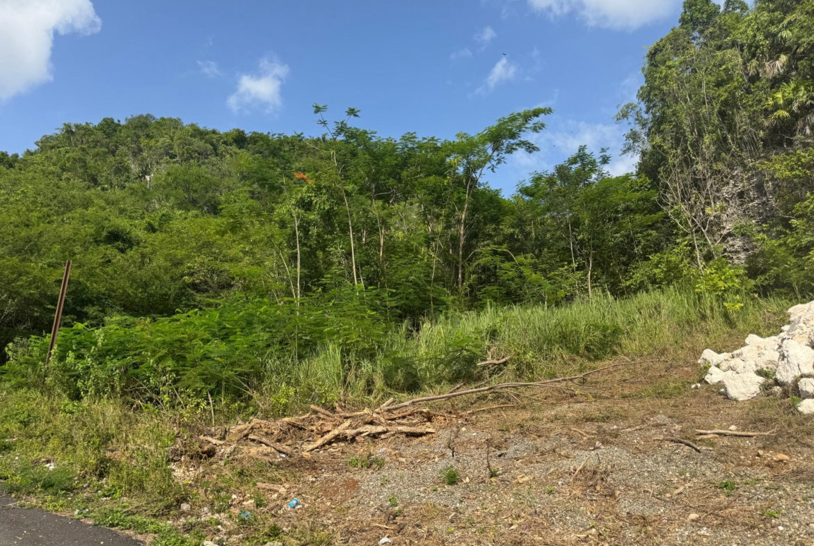Tenth image of 14 st Jago Drive in Spanish Town, St. Catherine, Jamaica - property is For Sale