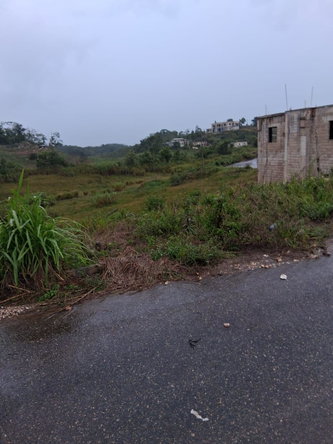 Eleventh image of Lot 76 Swabys Hope Manche in Swabys Hope, Manchester, Jamaica - property is For Sale
