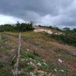 First image of Lot 76 Swabys Hope Manche in Swabys Hope, Manchester, Jamaica - property is For Sale