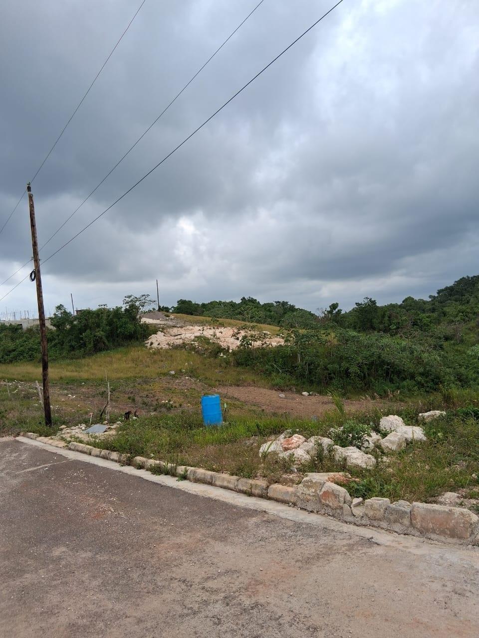 Third image of Lot 76 Swabys Hope Manche in Swabys Hope, Manchester, Jamaica - property is For Sale