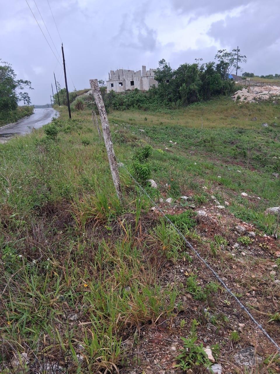 Fifth image of Lot 76 Swabys Hope Manche in Swabys Hope, Manchester, Jamaica - property is For Sale