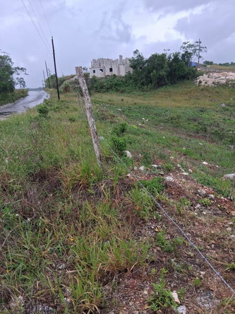 Fifth image of Lot 76 Swabys Hope Manche in Swabys Hope, Manchester, Jamaica - property is For Sale