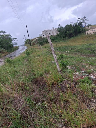 Sixth image of Lot 76 Swabys Hope Manche in Swabys Hope, Manchester, Jamaica - property is For Sale