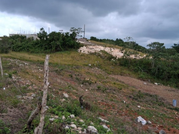 First image of Lot 76 Swabys Hope Manche in Swabys Hope, Manchester, Jamaica - property is For Sale