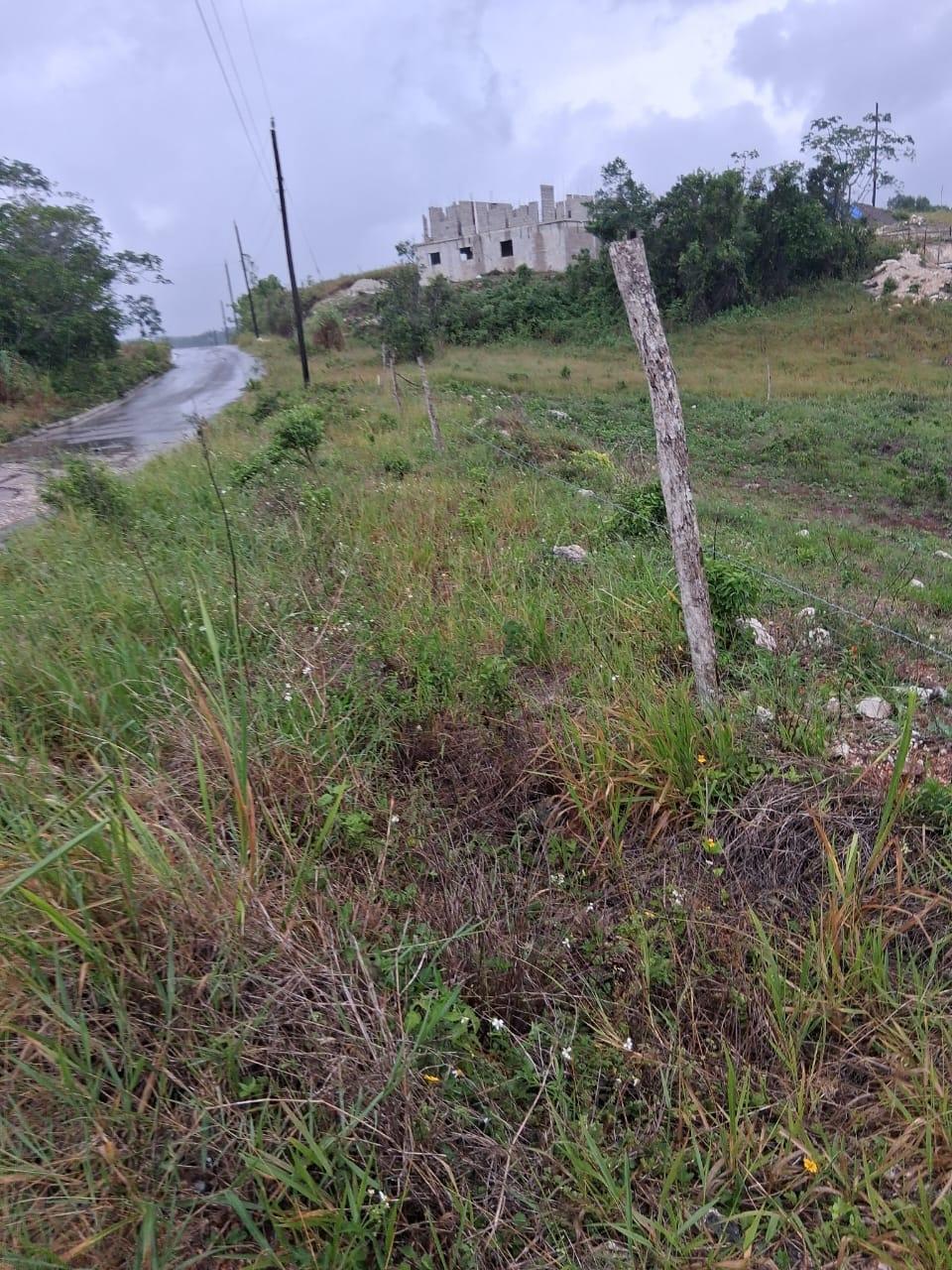 Eighth image of Lot 76 Swabys Hope Manche in Swabys Hope, Manchester, Jamaica - property is For Sale