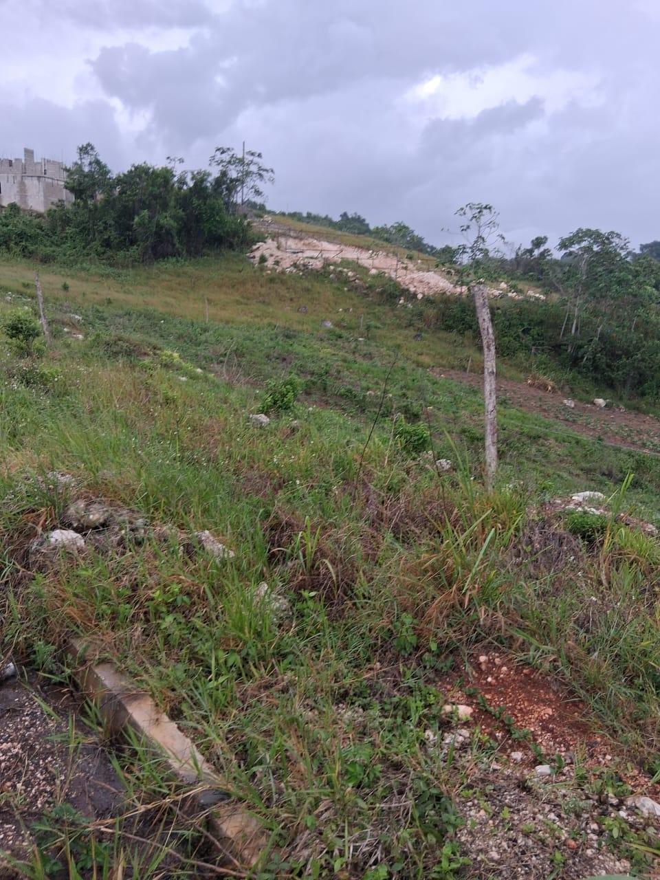 Tenth image of Lot 76 Swabys Hope Manche in Swabys Hope, Manchester, Jamaica - property is For Sale