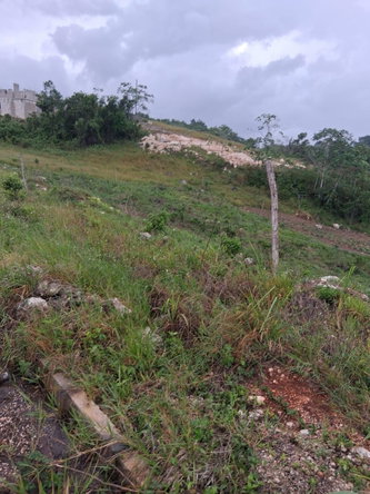 Tenth image of Lot 76 Swabys Hope Manche in Swabys Hope, Manchester, Jamaica - property is For Sale
