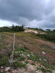 First image of Lot 76 Swabys Hope Manche in Swabys Hope, Manchester, Jamaica - property is For Sale