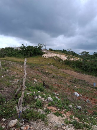 First image of Lot 76 Swabys Hope Manche in Swabys Hope, Manchester, Jamaica - property is For Sale