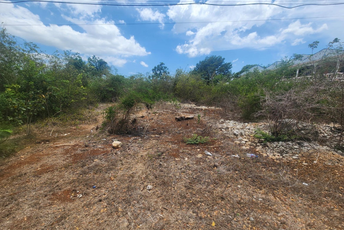 Second image of Lot 7 Forrest Drive,toby Abbots in Sandy Bay, Clarendon, Jamaica - property is For Sale