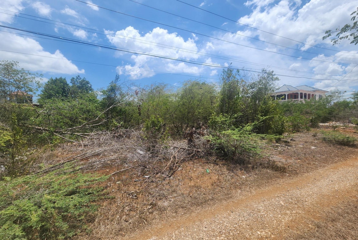 First image of Lot 7 Forrest Drive,toby Abbots in Sandy Bay, Clarendon, Jamaica - property is For Sale