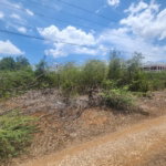 First image of Lot 7 Forrest Drive,toby Abbots in Sandy Bay, Clarendon, Jamaica - property is For Sale
