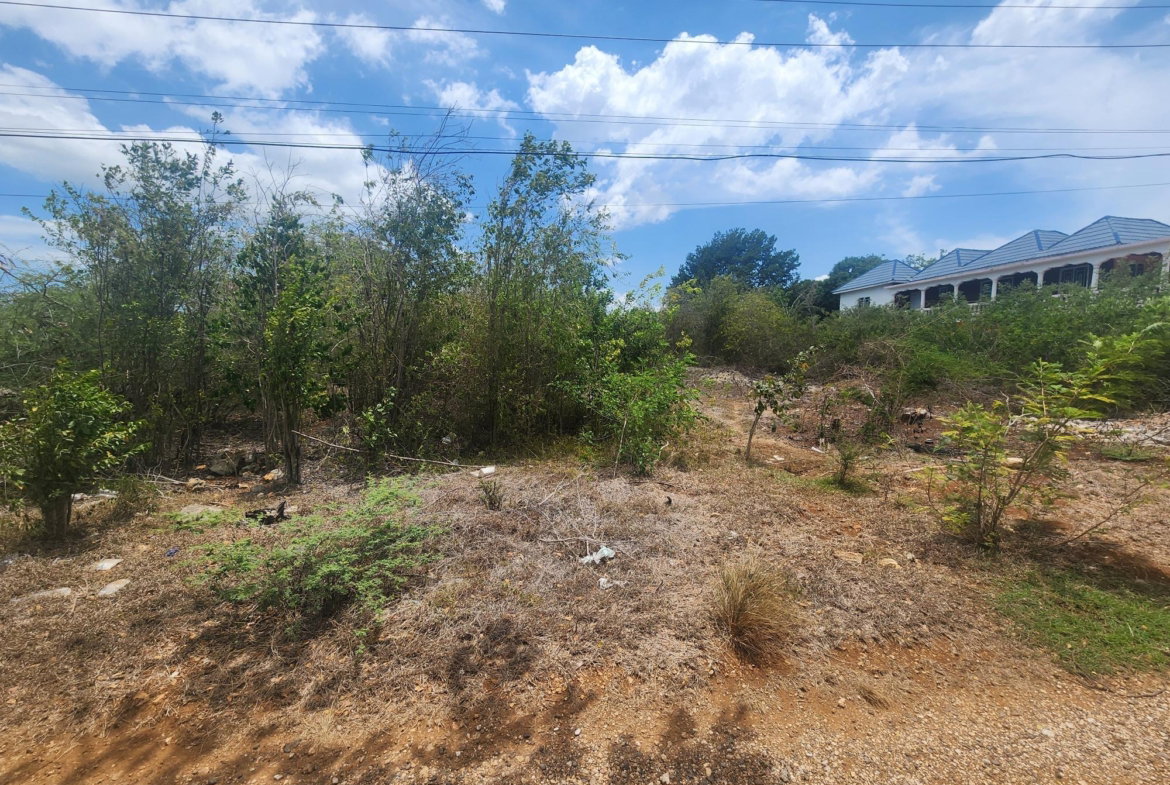 Third image of Lot 7 Forrest Drive,toby Abbots in Sandy Bay, Clarendon, Jamaica - property is For Sale