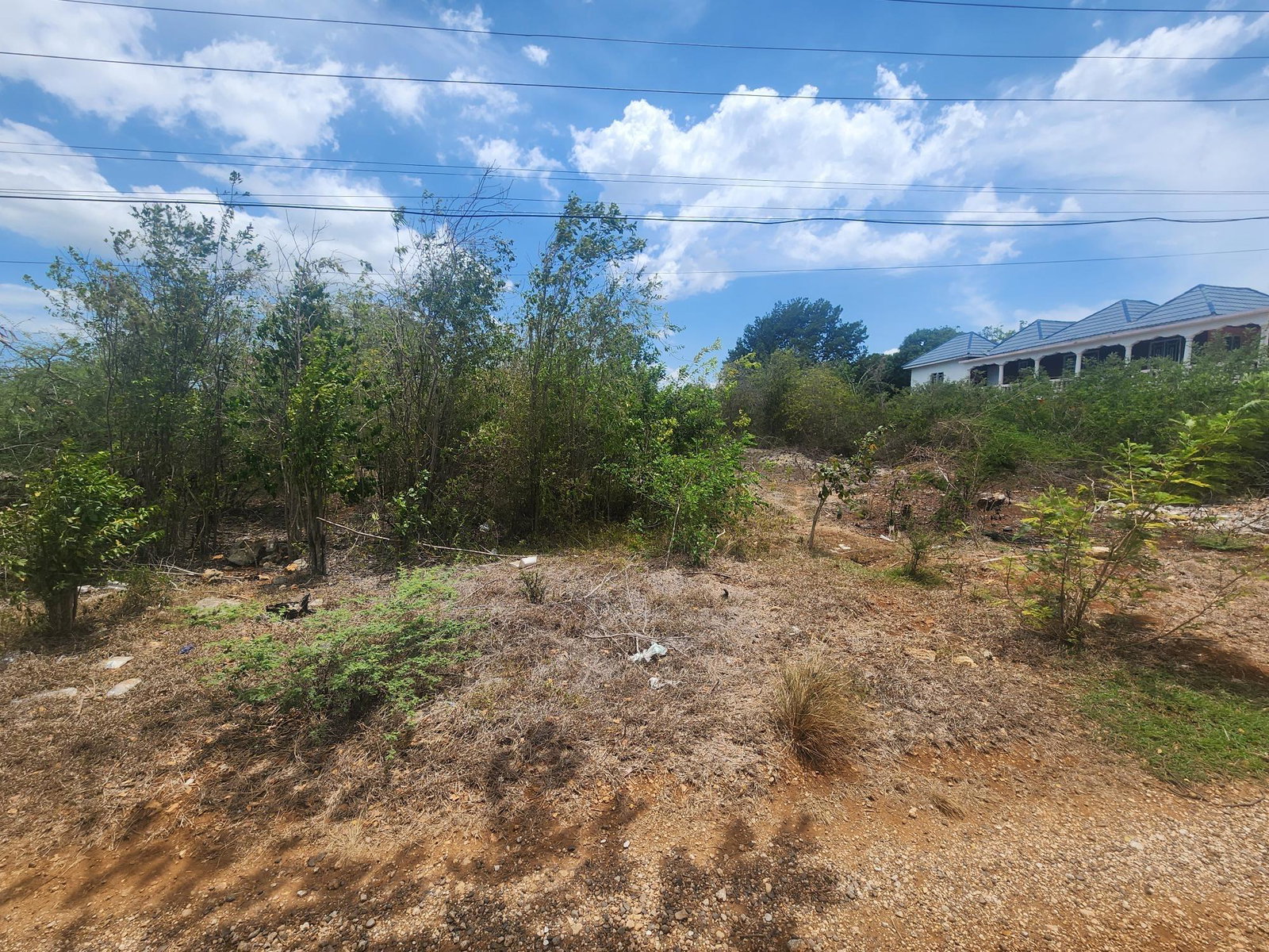 Residential-Lot-for-Sale-in-Toby-Abbots-Phase-1-Clarendon-Jamaica Third image of Lot 7 Forrest Drive,toby Abbots in Sandy Bay, Clarendon, Jamaica - property is For Sale
