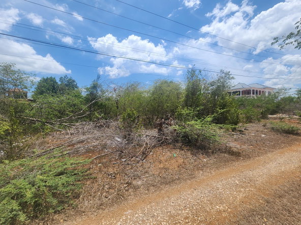Fourth image of Lot 7 Forrest Drive,toby Abbots in Sandy Bay, Clarendon, Jamaica - property is For Sale