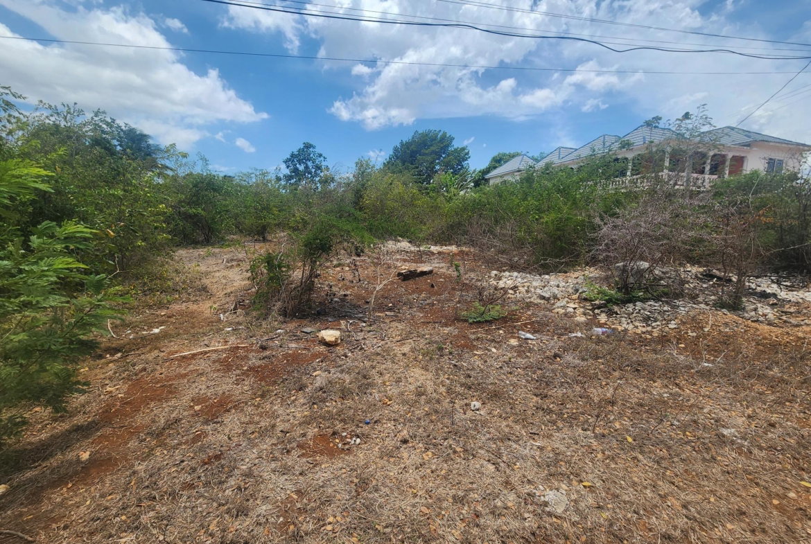 Fifth image of Lot 7 Forrest Drive,toby Abbots in Sandy Bay, Clarendon, Jamaica - property is For Sale