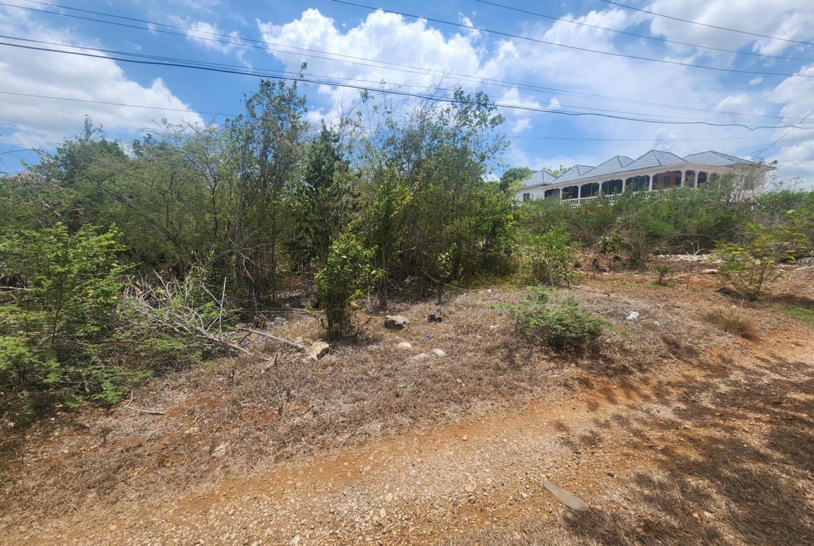 Sixth image of Lot 7 Forrest Drive,toby Abbots in Sandy Bay, Clarendon, Jamaica - property is For Sale