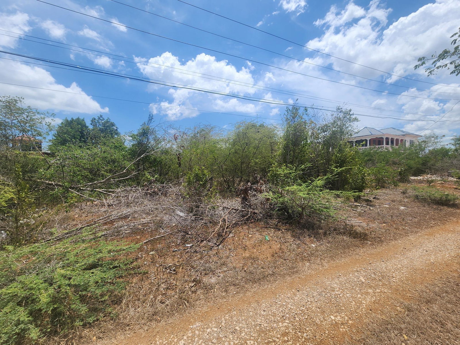 Residential-Lot-for-Sale-in-Toby-Abbots-Phase-1-Clarendon-Jamaica First image of Lot 7 Forrest Drive,toby Abbots in Sandy Bay, Clarendon, Jamaica - property is For Sale