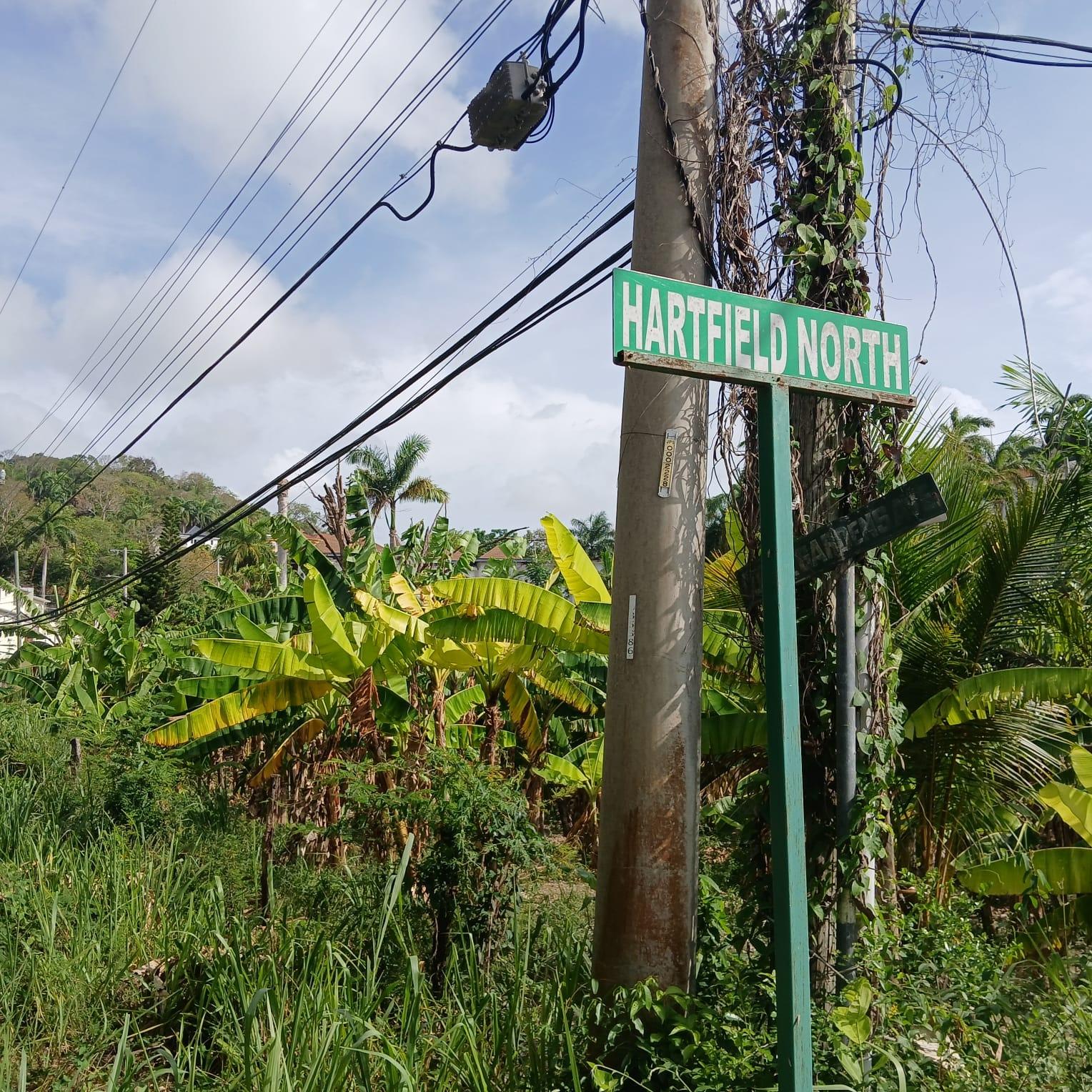Residential-Lot-for-Sale-in-Torada-Heights-Coral-Gardens-St.-James-Jamaica Second image of 231 Coral Gardens Avenue in Montego Bay, St. James, Jamaica - property is For Sale