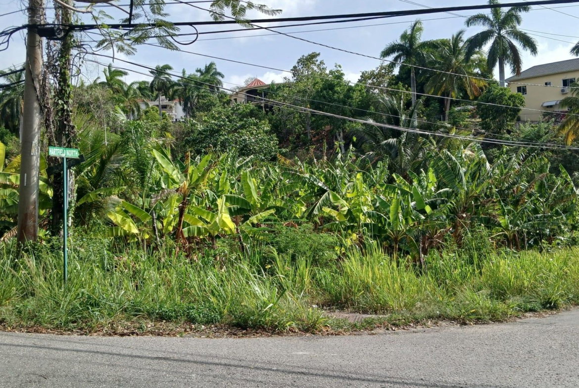 First image of 231 Coral Gardens Avenue in Montego Bay, St. James, Jamaica - property is For Sale