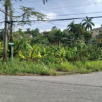 First image of 231 Coral Gardens Avenue in Montego Bay, St. James, Jamaica - property is For Sale