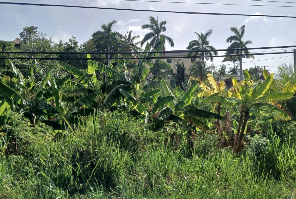 Third image of 231 Coral Gardens Avenue in Montego Bay, St. James, Jamaica - property is For Sale