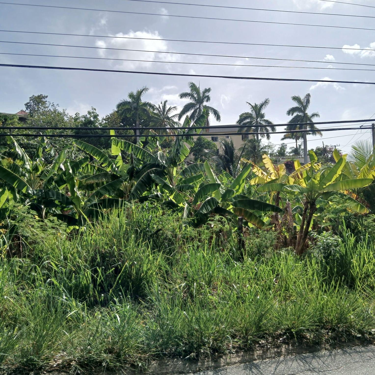 Residential-Lot-for-Sale-in-Torada-Heights-Coral-Gardens-St.-James-Jamaica Third image of 231 Coral Gardens Avenue in Montego Bay, St. James, Jamaica - property is For Sale