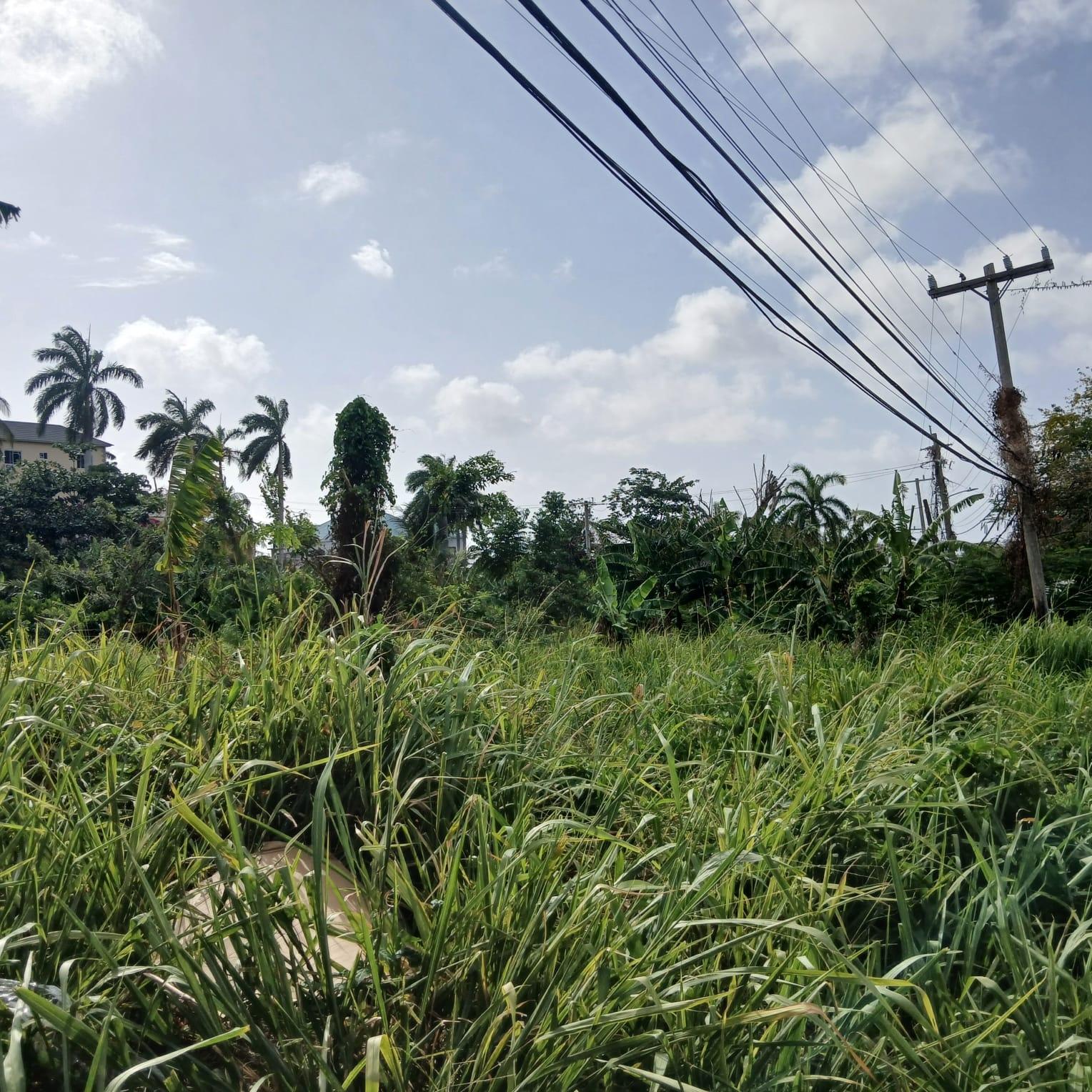 Residential-Lot-for-Sale-in-Torada-Heights-Coral-Gardens-St.-James-Jamaica Fifth image of 231 Coral Gardens Avenue in Montego Bay, St. James, Jamaica - property is For Sale