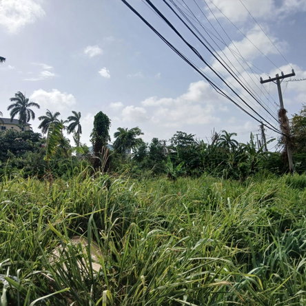 Fifth image of 231 Coral Gardens Avenue in Montego Bay, St. James, Jamaica - property is For Sale