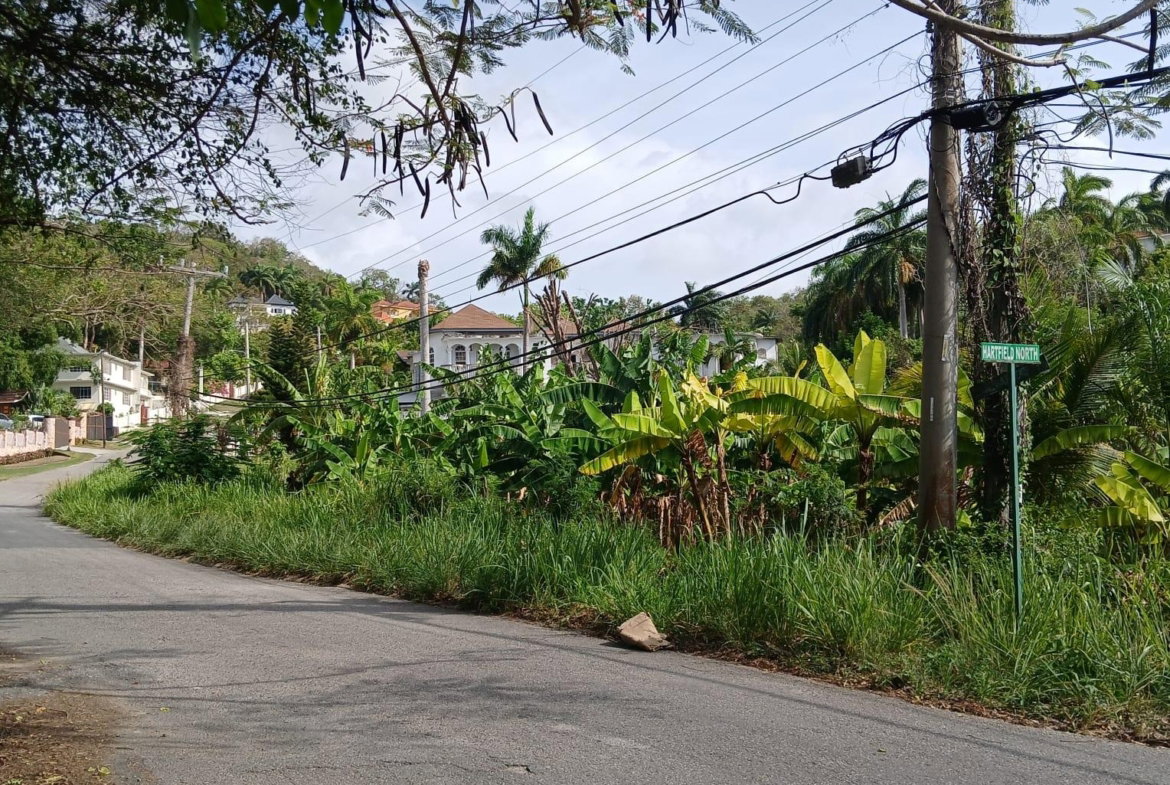 Sixth image of 231 Coral Gardens Avenue in Montego Bay, St. James, Jamaica - property is For Sale