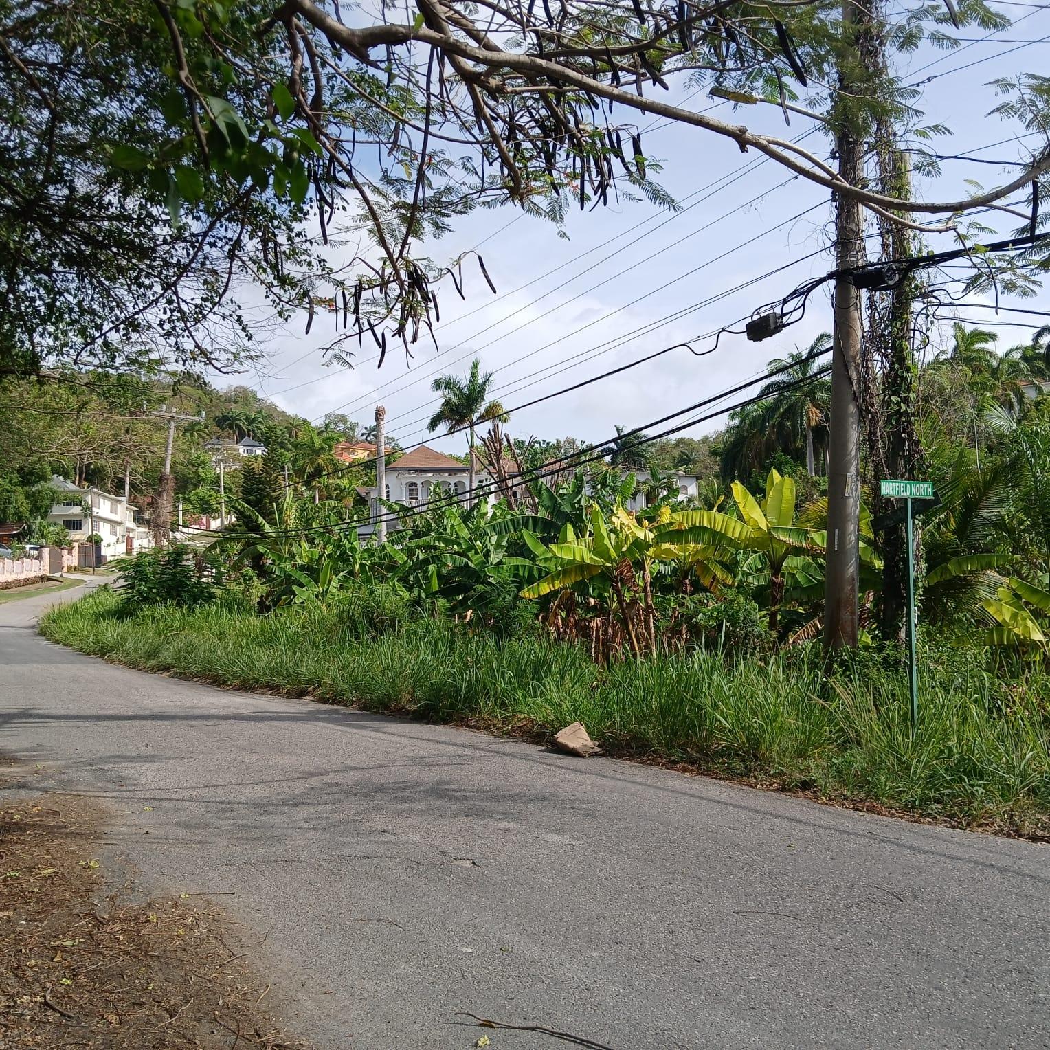 Residential-Lot-for-Sale-in-Torada-Heights-Coral-Gardens-St.-James-Jamaica Sixth image of 231 Coral Gardens Avenue in Montego Bay, St. James, Jamaica - property is For Sale