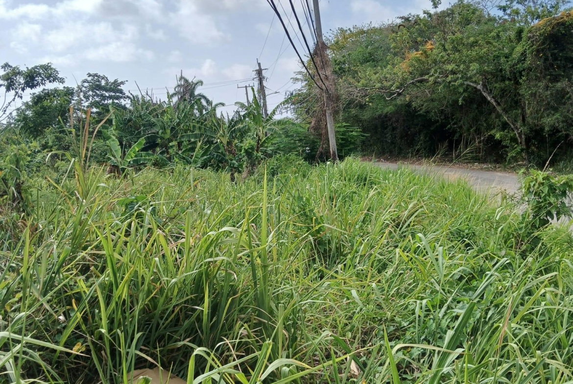 Seventh image of 231 Coral Gardens Avenue in Montego Bay, St. James, Jamaica - property is For Sale
