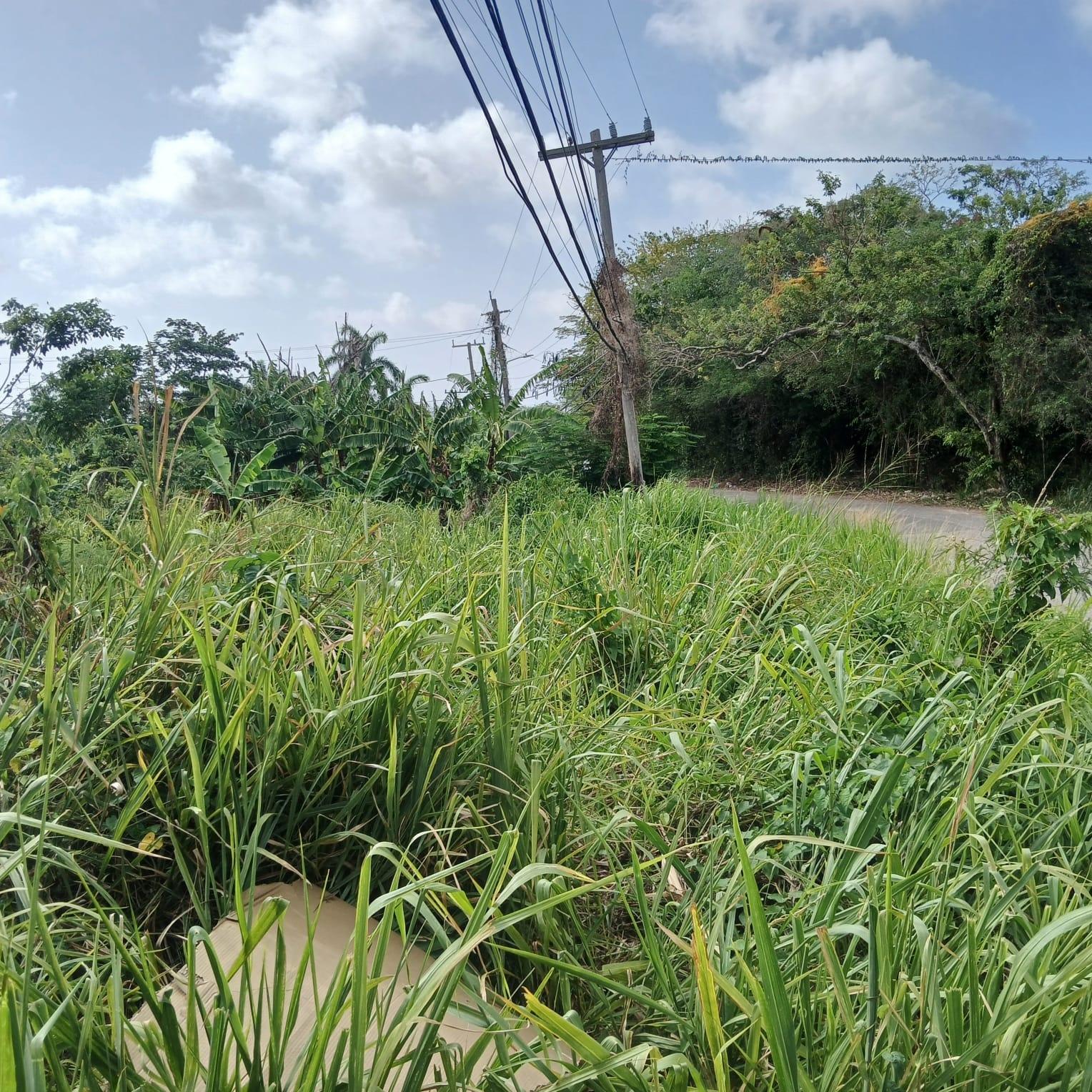 Residential-Lot-for-Sale-in-Torada-Heights-Coral-Gardens-St.-James-Jamaica Seventh image of 231 Coral Gardens Avenue in Montego Bay, St. James, Jamaica - property is For Sale