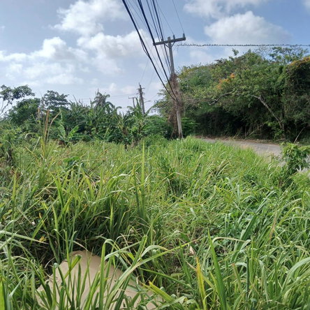 Seventh image of 231 Coral Gardens Avenue in Montego Bay, St. James, Jamaica - property is For Sale