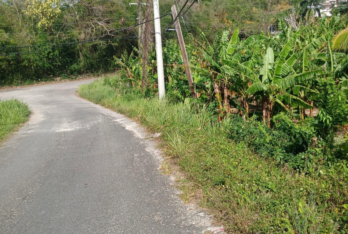 Ninth image of 231 Coral Gardens Avenue in Montego Bay, St. James, Jamaica - property is For Sale