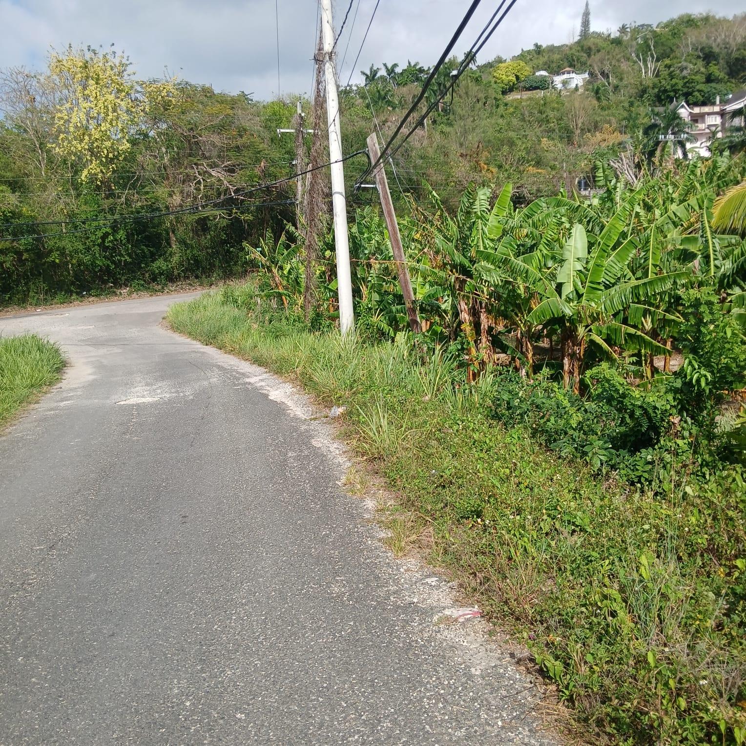Residential-Lot-for-Sale-in-Torada-Heights-Coral-Gardens-St.-James-Jamaica Ninth image of 231 Coral Gardens Avenue in Montego Bay, St. James, Jamaica - property is For Sale