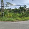 First image of 231 Coral Gardens Avenue in Montego Bay, St. James, Jamaica - property is For Sale