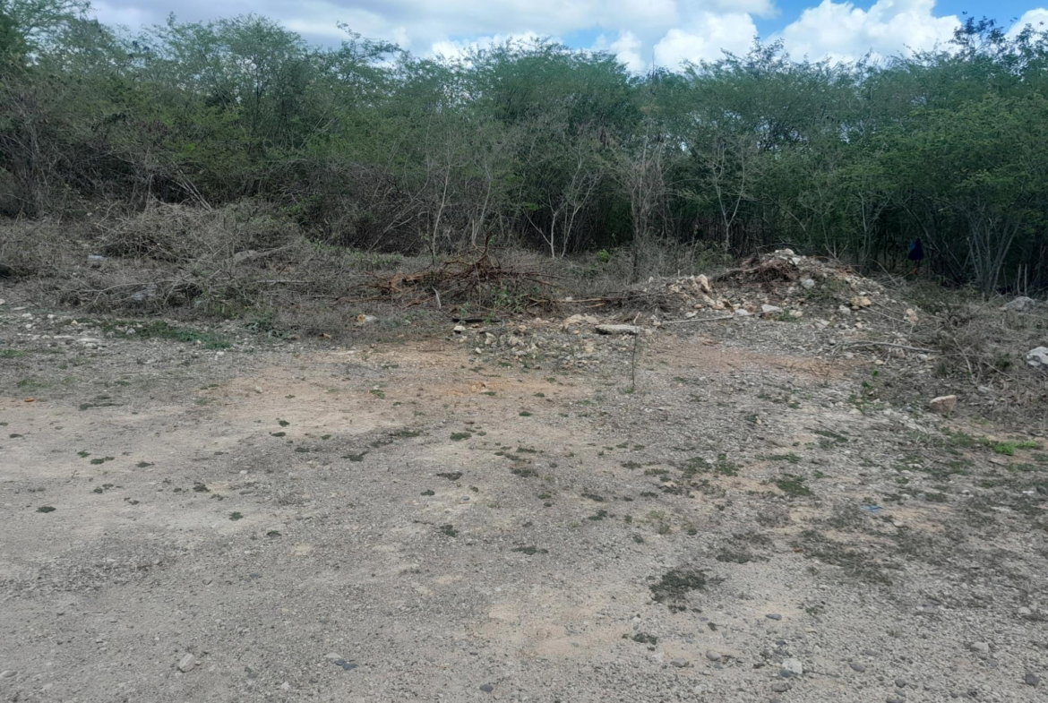Second image of Lot #6 Twin Palms Estate, Palmer in Palmers Cross, Clarendon, Jamaica - property is For Sale
