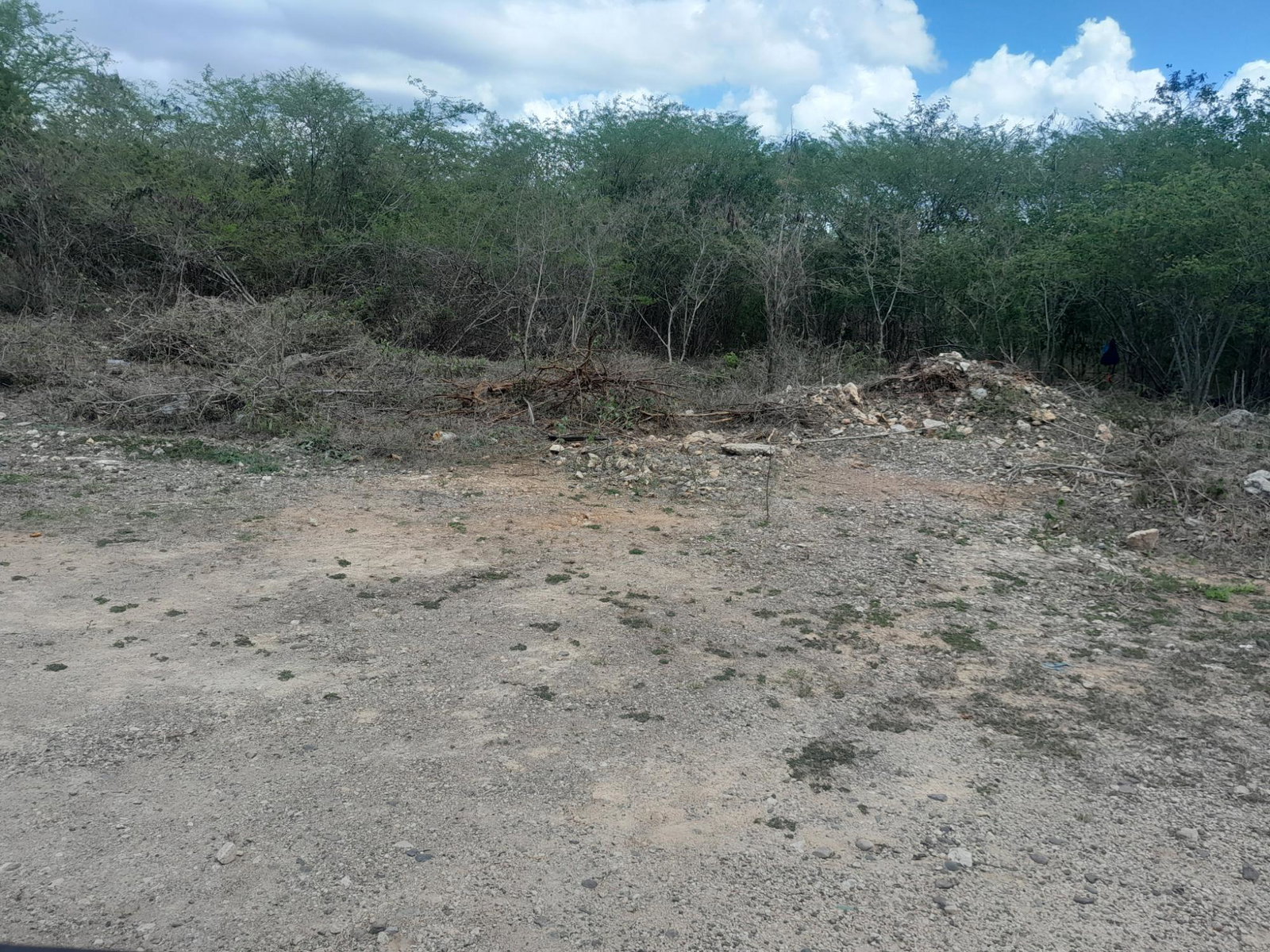 Second image of Lot #6 Twin Palms Estate, Palmer in Palmers Cross, Clarendon, Jamaica - property is For Sale