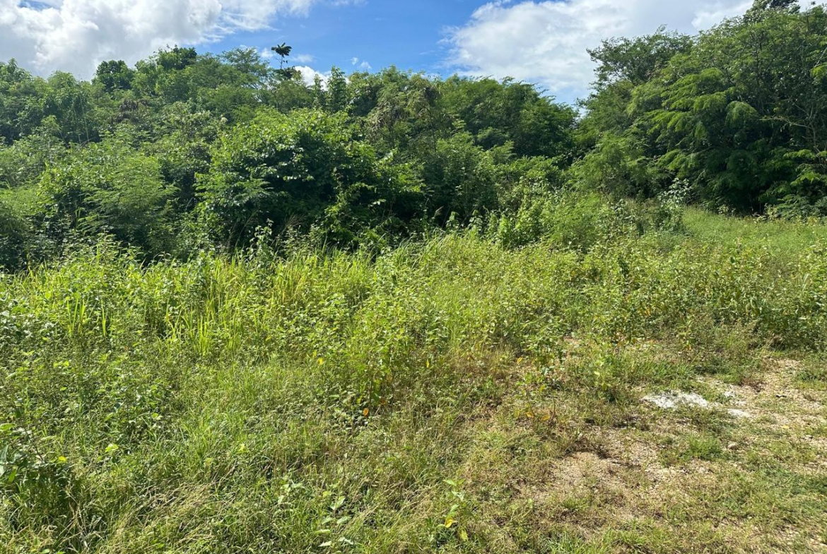 First image of Lot #6 Twin Palms Estate, Palmer in Palmers Cross, Clarendon, Jamaica - property is For Sale