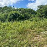First image of Lot #6 Twin Palms Estate, Palmer in Palmers Cross, Clarendon, Jamaica - property is For Sale