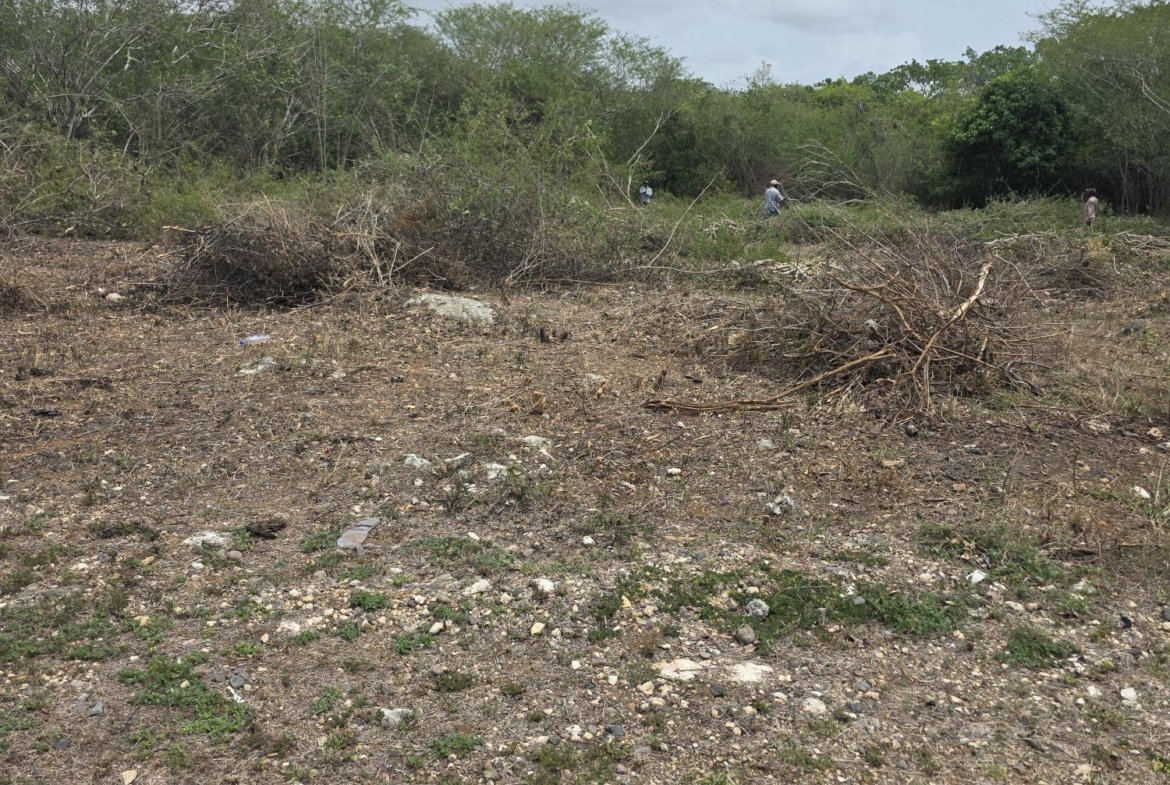 Third image of Lot #6 Twin Palms Estate, Palmer in Palmers Cross, Clarendon, Jamaica - property is For Sale