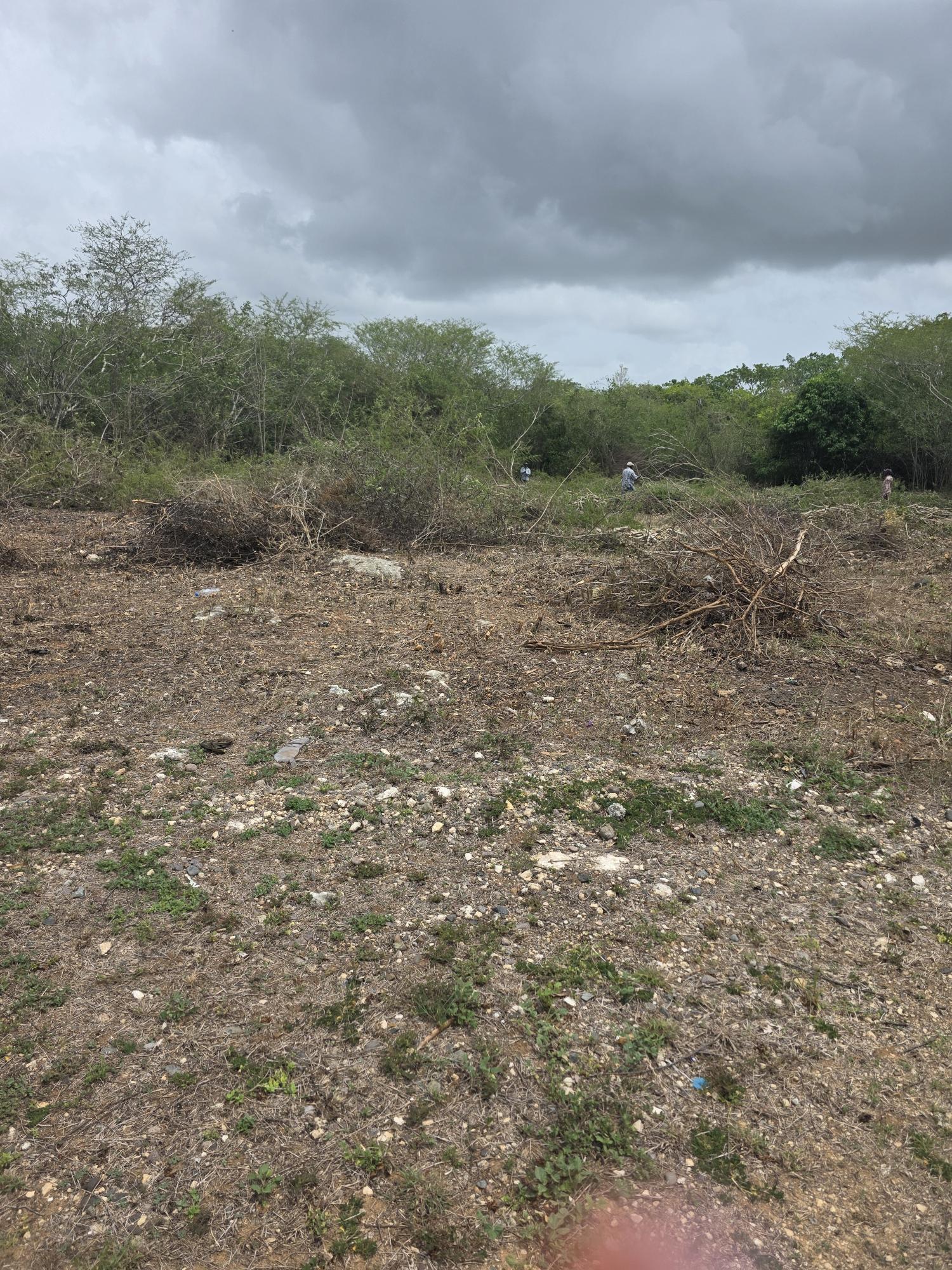 Third image of Lot #6 Twin Palms Estate, Palmer in Palmers Cross, Clarendon, Jamaica - property is For Sale