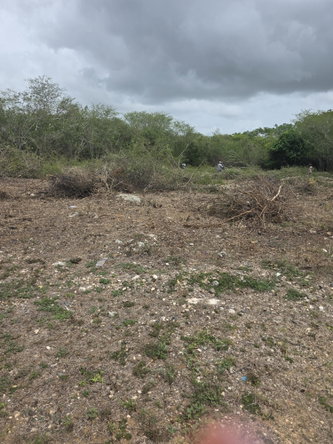 Third image of Lot #6 Twin Palms Estate, Palmer in Palmers Cross, Clarendon, Jamaica - property is For Sale