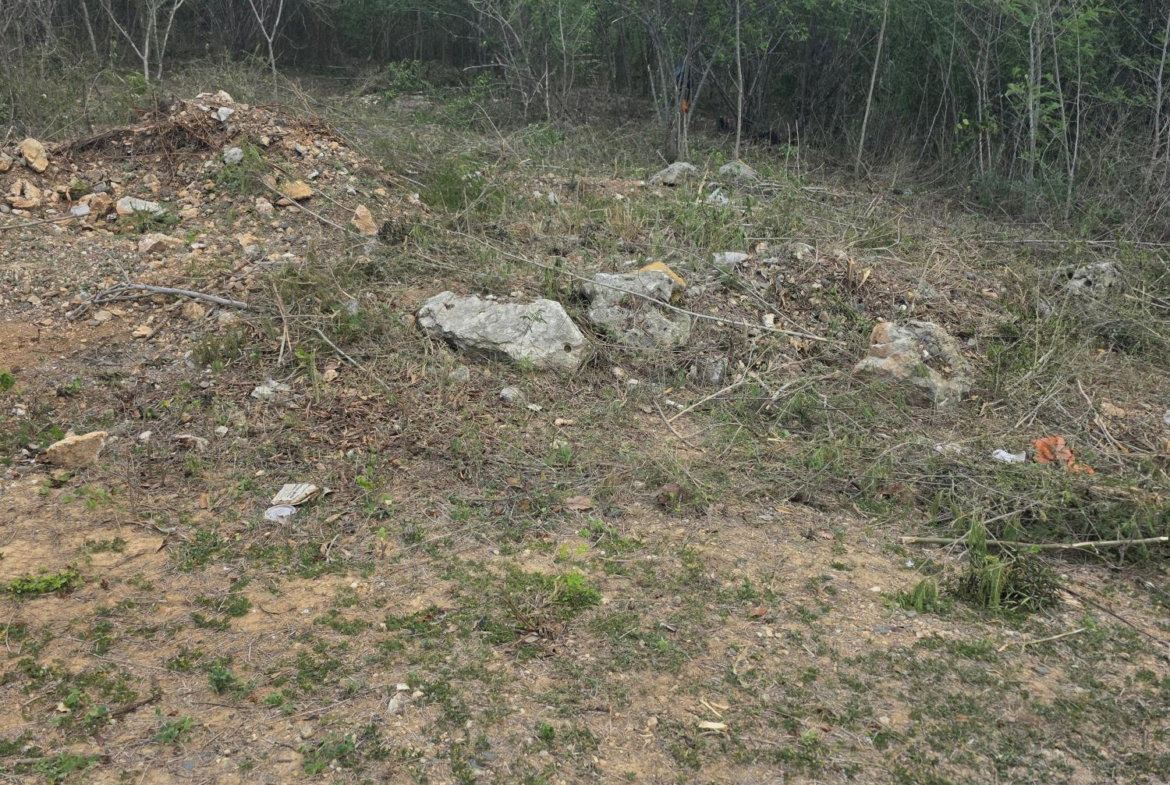 Fourth image of Lot #6 Twin Palms Estate, Palmer in Palmers Cross, Clarendon, Jamaica - property is For Sale