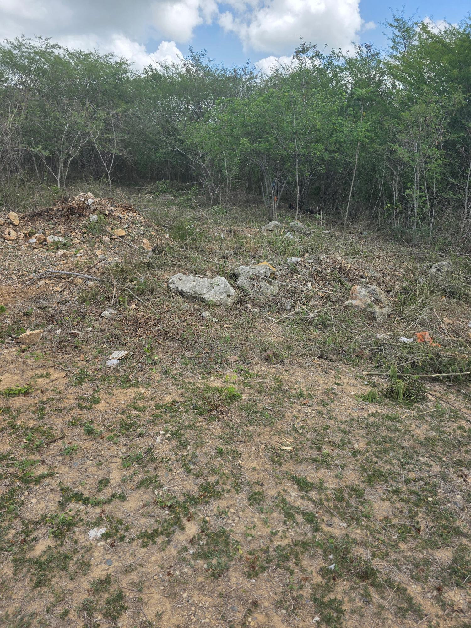 Fourth image of Lot #6 Twin Palms Estate, Palmer in Palmers Cross, Clarendon, Jamaica - property is For Sale