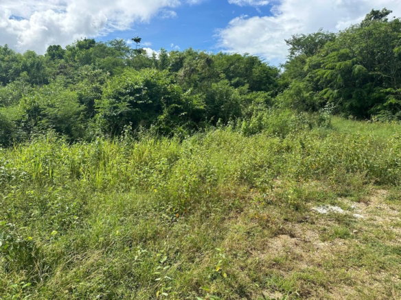 First image of Lot #6 Twin Palms Estate, Palmer in Palmers Cross, Clarendon, Jamaica - property is For Sale