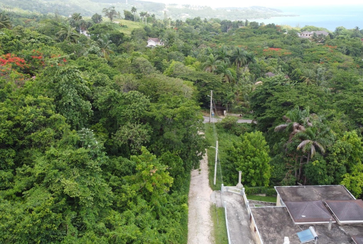 Second image of Unity Hall in Unity Hall, St. James, Jamaica - property is For Sale
