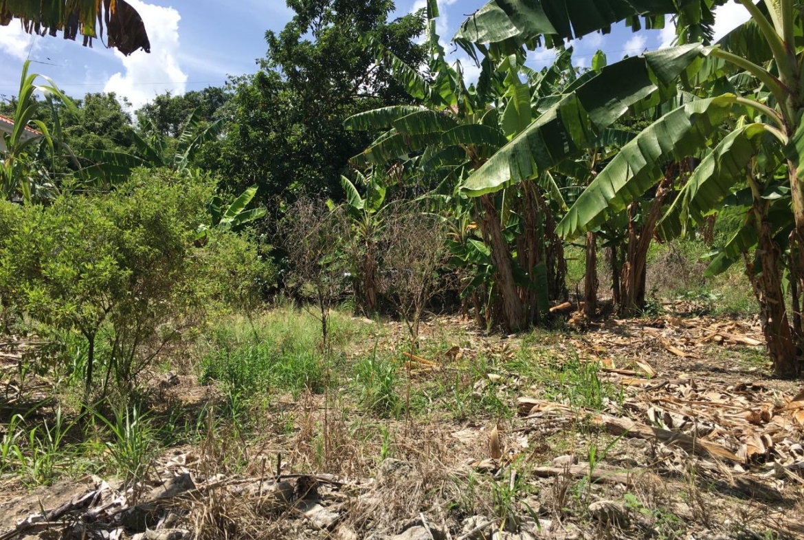 Eleventh image of 127 Columbus Crescent in St. Ann's Bay, St. Ann, Jamaica - property is For Sale