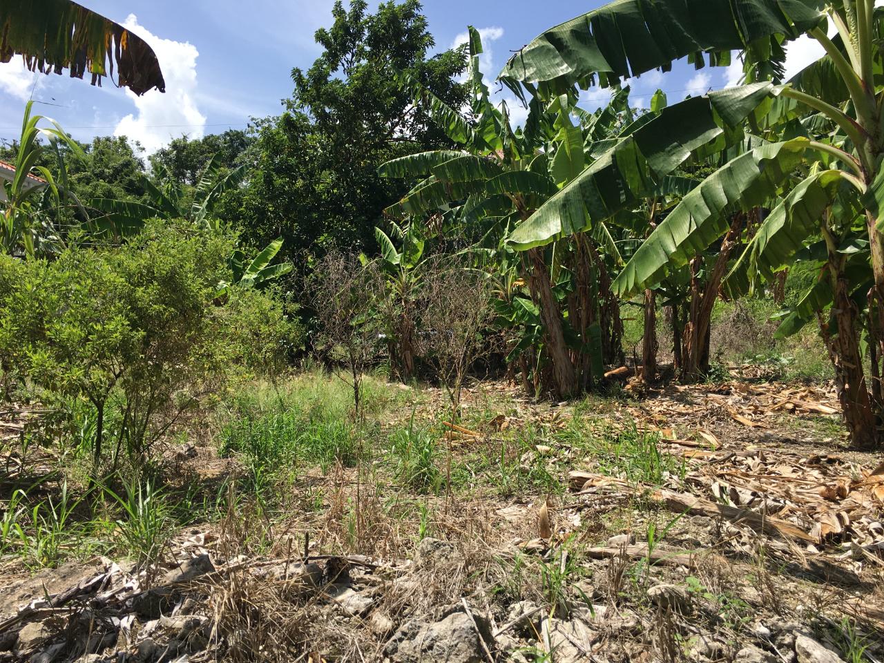 Eleventh image of 127 Columbus Crescent in St. Ann's Bay, St. Ann, Jamaica - property is For Sale